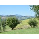 Properties for Sale_Il Casale Sotto Moresco in Le Marche_9
